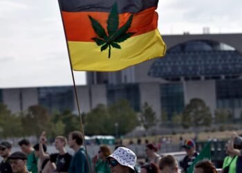 Germany scales again hashish legalization plans to concentrate on house cultivation – POLITICO