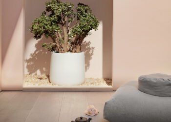 A New Wave of CBD Retail outlets Be offering Yoga, Tea, and Nice Design – SURFACE