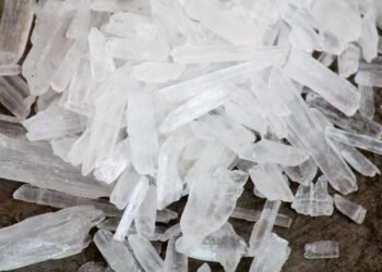 Hand over Meth, Get Paid in Cutting edge California Restoration Program