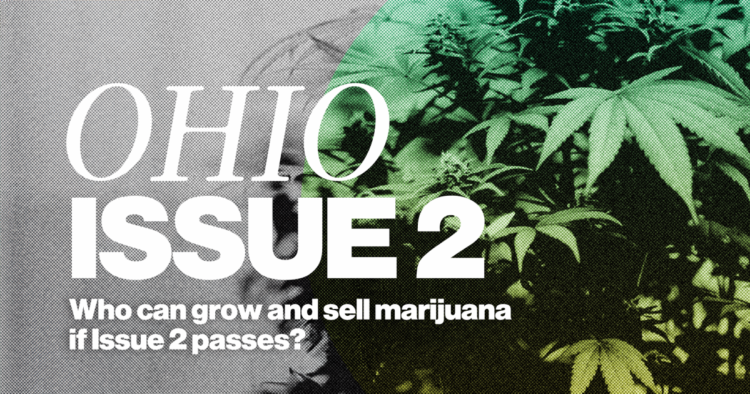 Who can develop and promote leisure marijuana if Factor 2 passes?