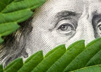 Key insights and alternatives into the hashish making an investment panorama – Monetary Instances