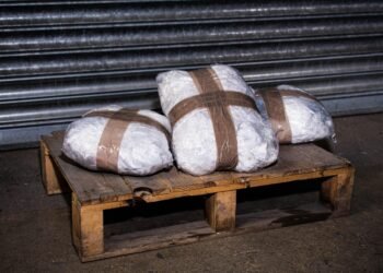 Feds Indict 24 in Mexico Cartel and China Drug Operation Alliance