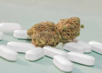 Learn about Unearths Decrease Opioid Prescription Charges in Spaces with Hashish Dispensaries Within sight