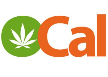 Combating Grimy Weed Via OCal Hashish Certification – Hashish Industry Government