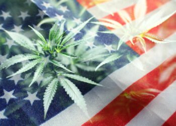 Federal Hashish Roundup: Nixon, DEA, Tobacco-Hemp . . . and the DOOBIE Act (*sigh*) – Hashish Industry Govt