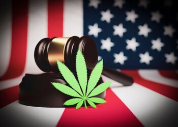 The hashish trade is looking ahead to a prison inexperienced mild, however can companies live to tell the tale? – Hashish Industry Govt