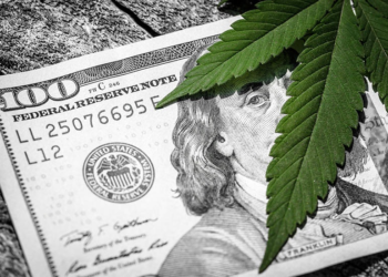 Michigan Dispensaries Ruin $3 Billion Annual Gross sales Report, 103K Kilos Per thirty days Flower Report